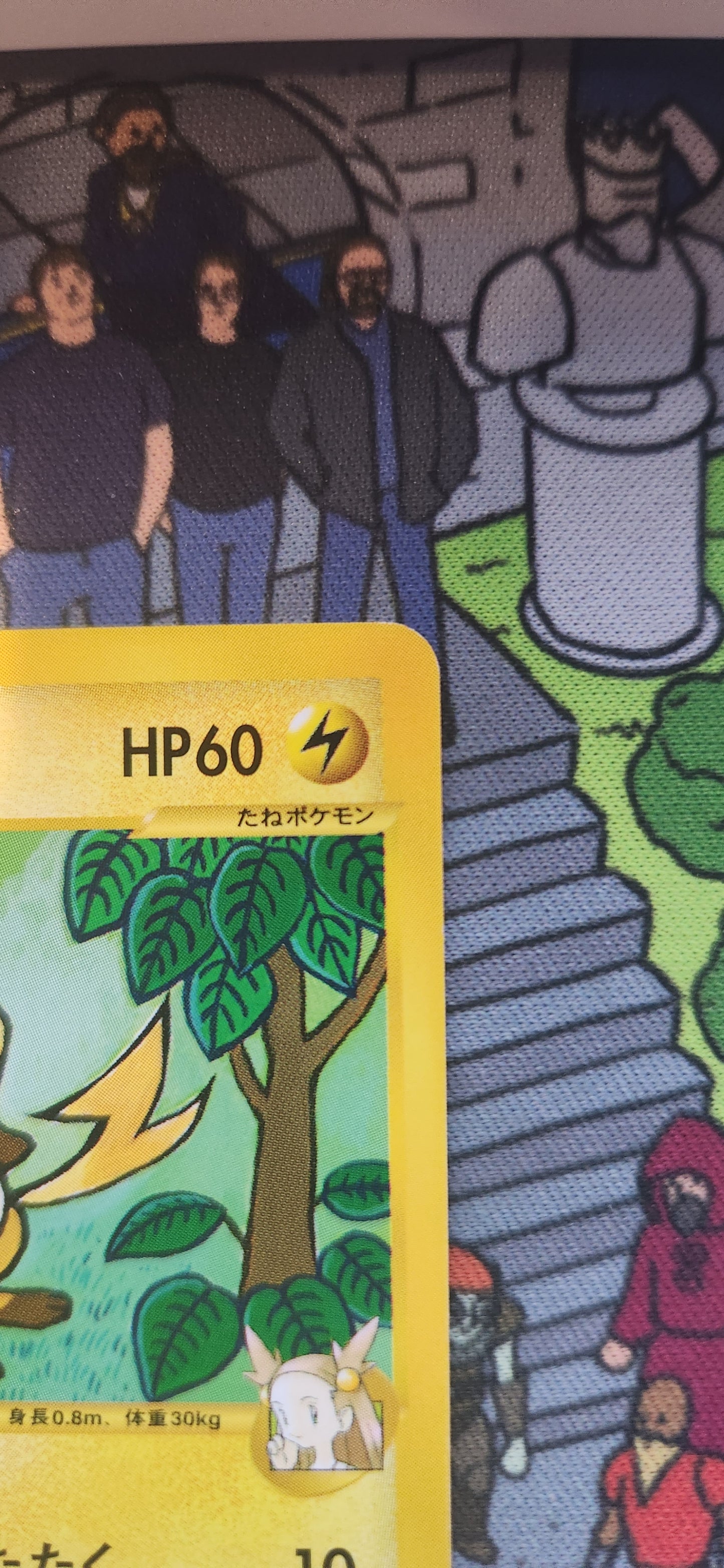 Jasmines Raichu - Pokemon VS - 1st Edition - 027/141