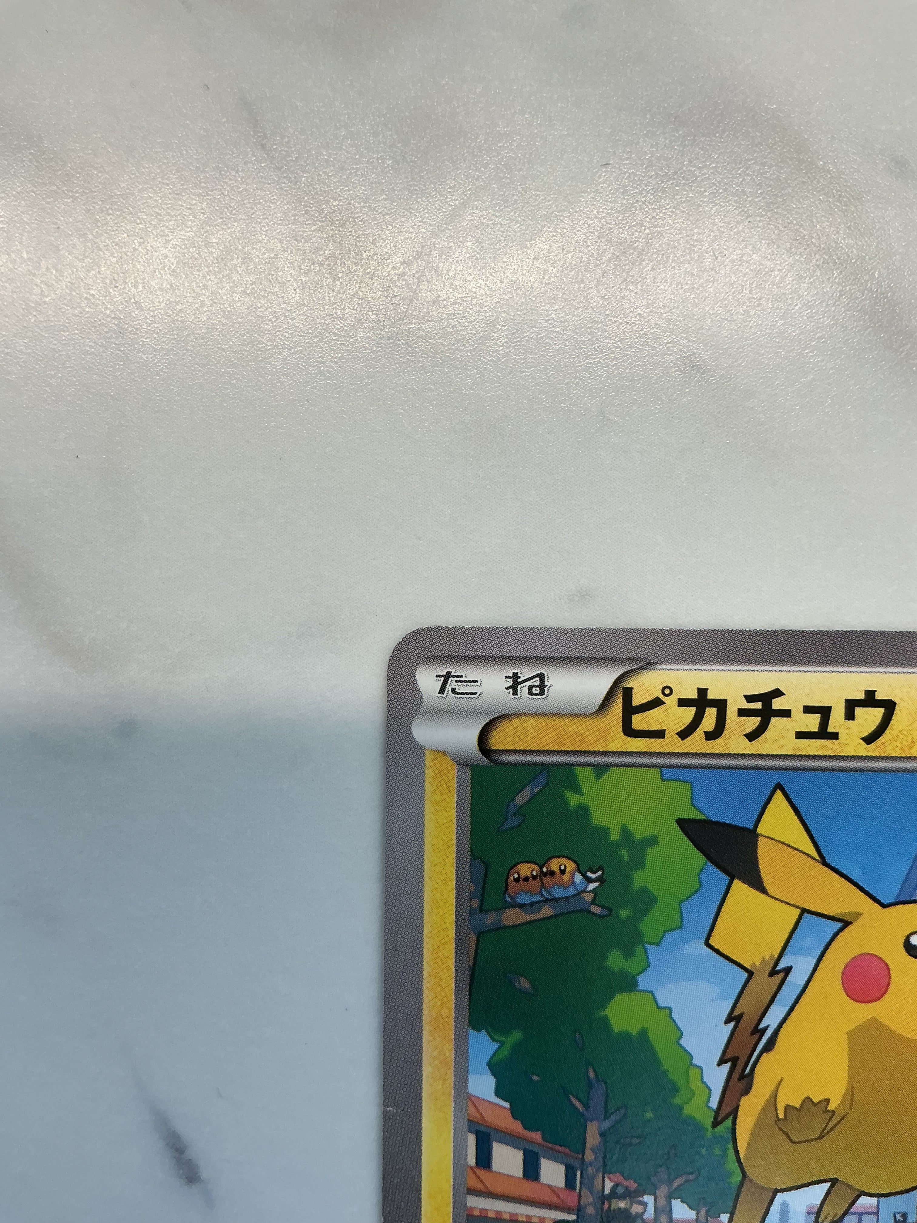 ポケモンカードゲーム 6kg promo pcg dp xy meiji macdonald's 6kg promo pcg dp xy meiji macdonald's - メルカリ